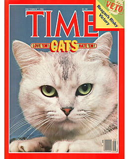 time-cats.jpg